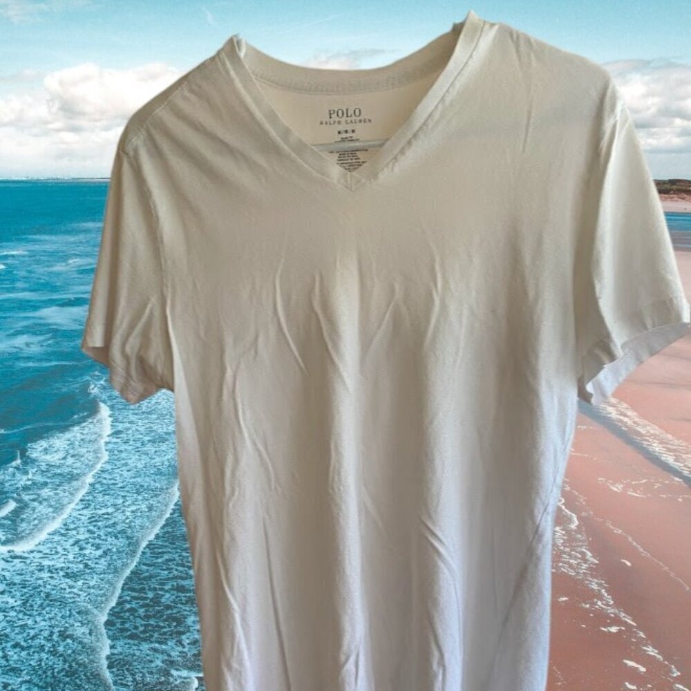 Polo Ralph Lauren Men's V-Neck Top